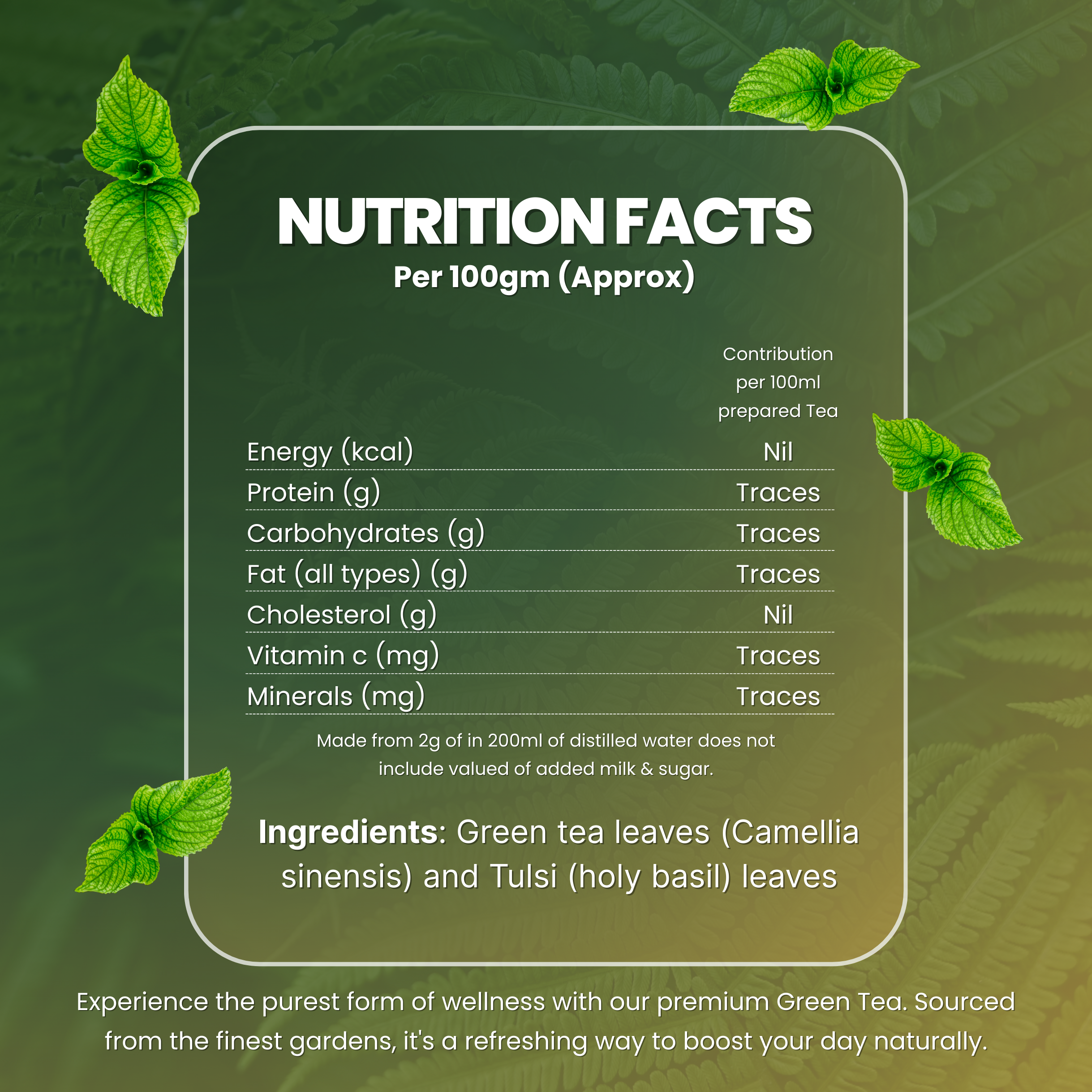 Tulsi Green Tea