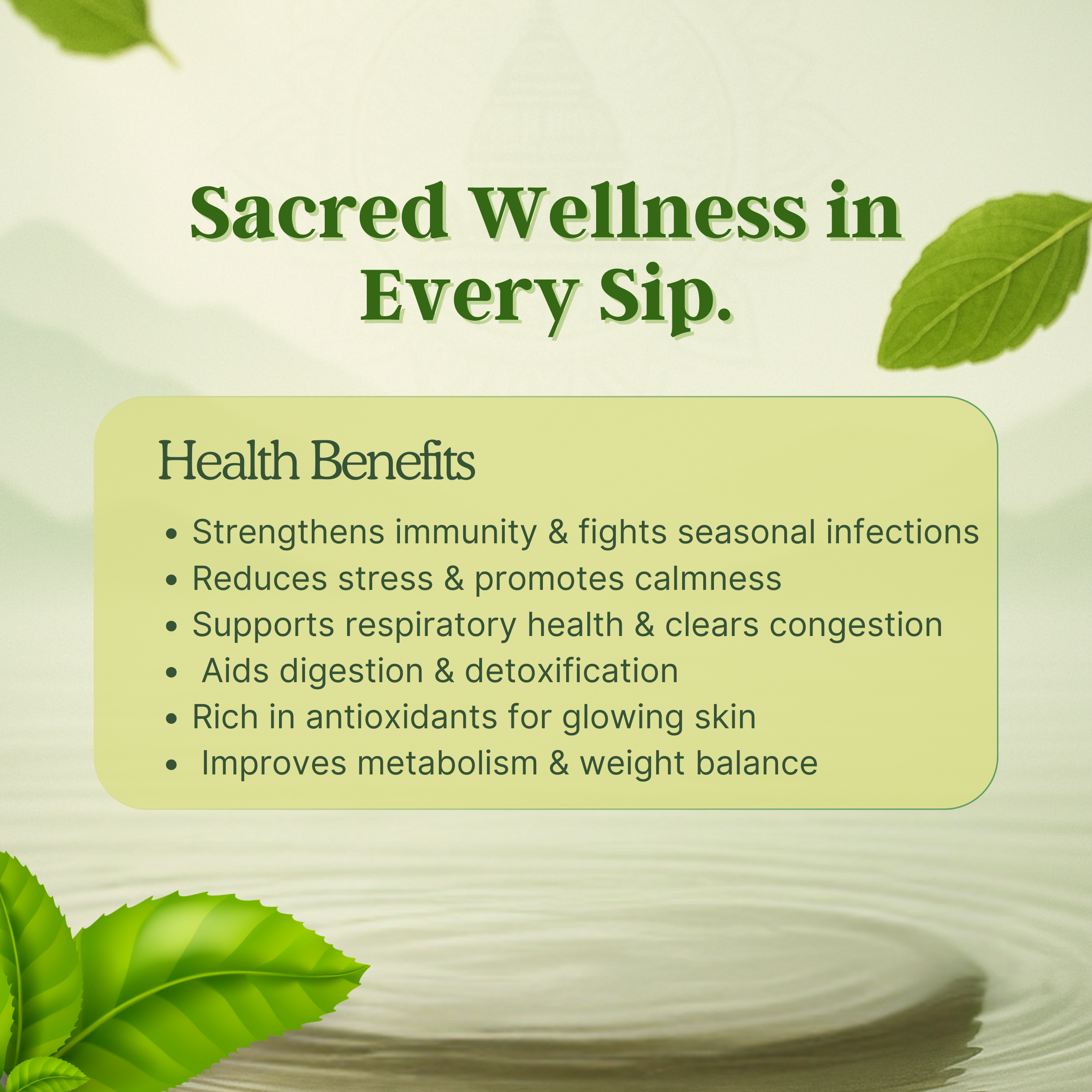 Tulsi Green Tea