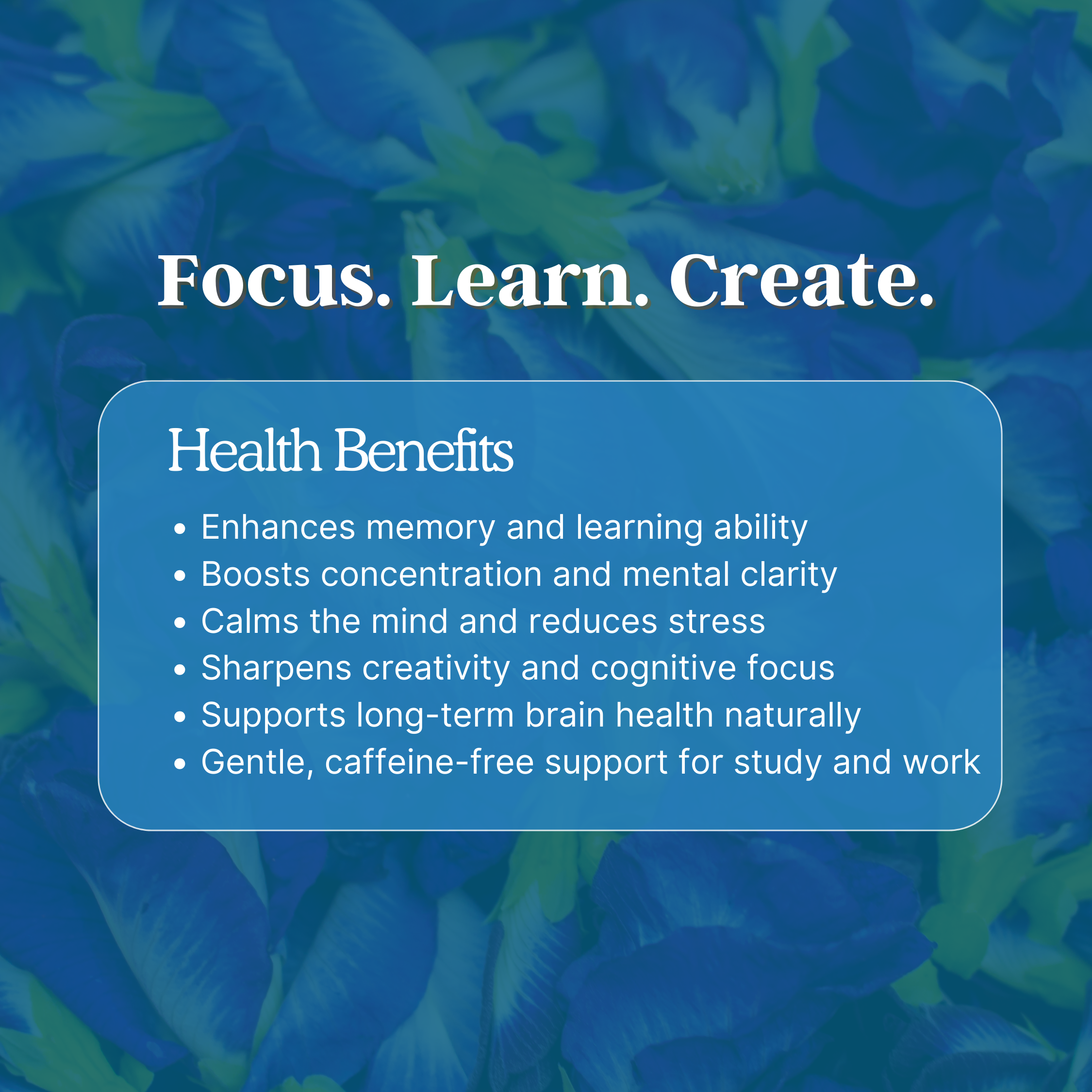Memory & Focus Tea – Brain Booster Herbal Blend